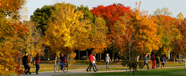 Fresno State students walking through campus surrounded by autumn colored trees